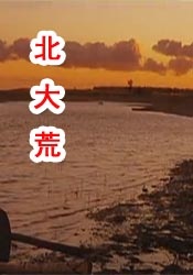 中文字幕